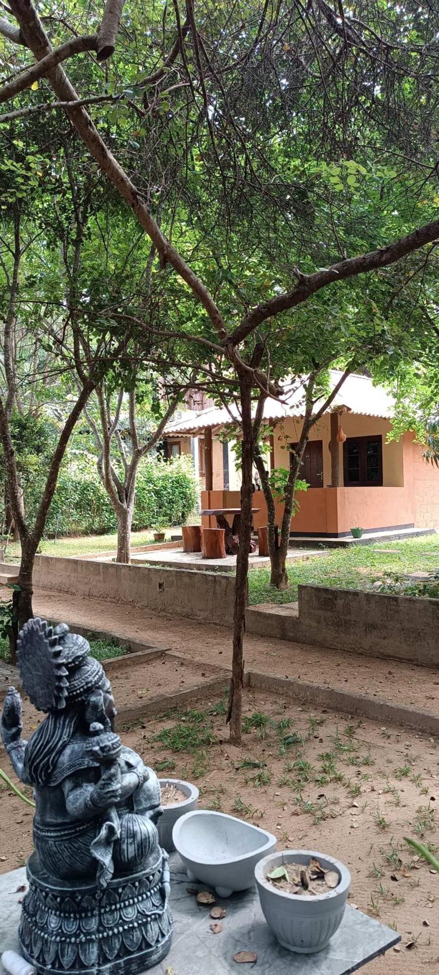 Hotel Niyagala Lodge Sigiriya Exterior photo