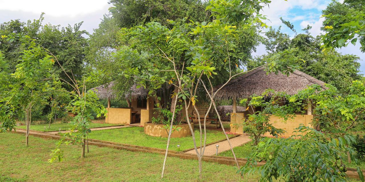 Hotel Niyagala Lodge Sigiriya Exterior photo